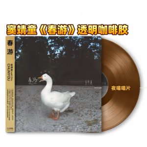 D窦靖童 – Spring Outing (Transparent Coffee Vinyl 1LP)